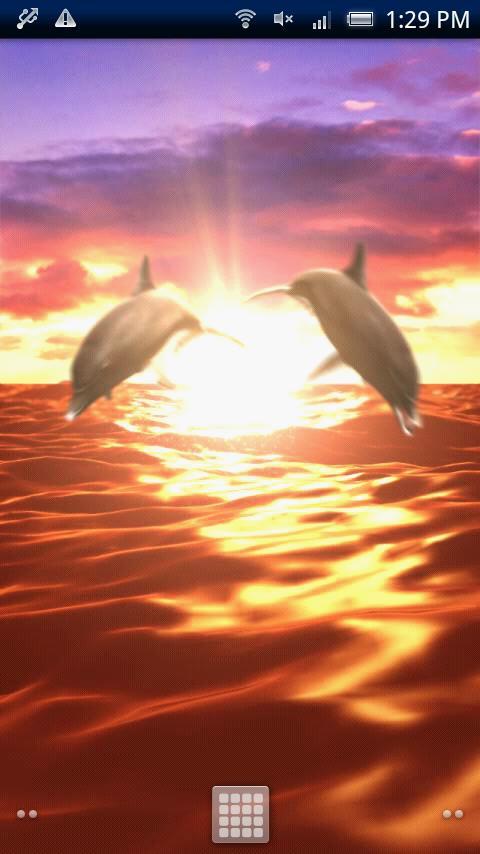 Sunrise Ocean Free