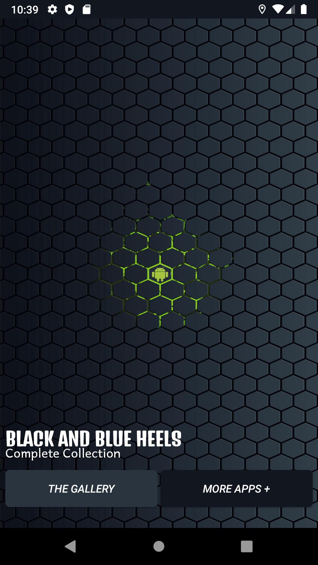 Black And Blue Heels