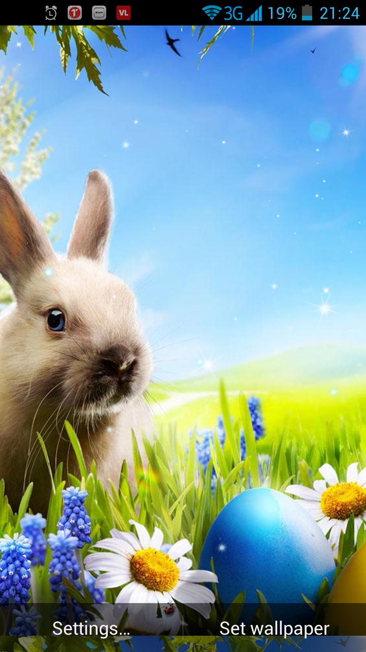 Easter Bunny Live Wallpaper