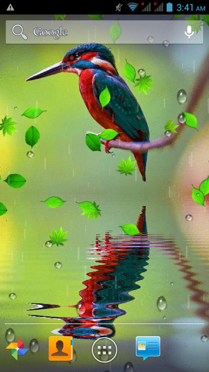 Bird Reflection Live Wallpaper