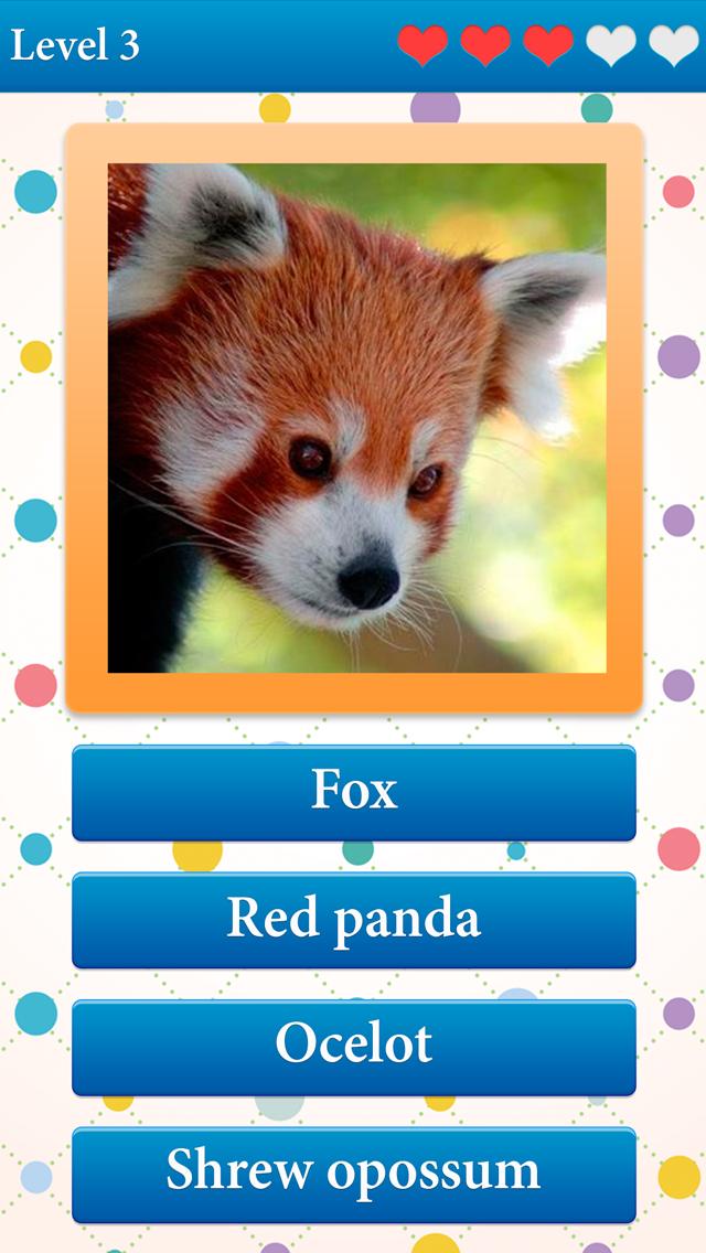 What is the name of an animal?