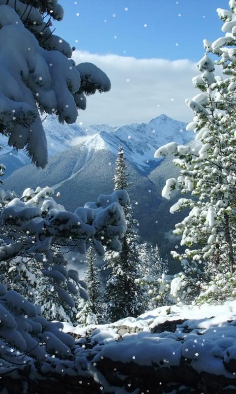 Winter Wallpaper