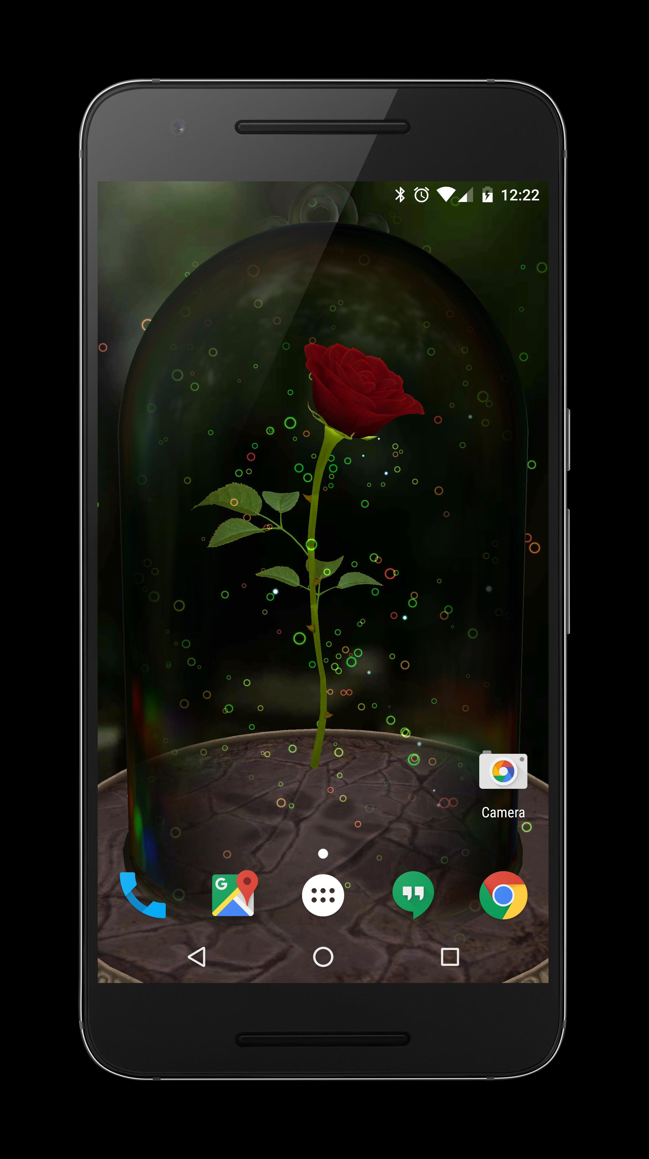 Enchanted Rose