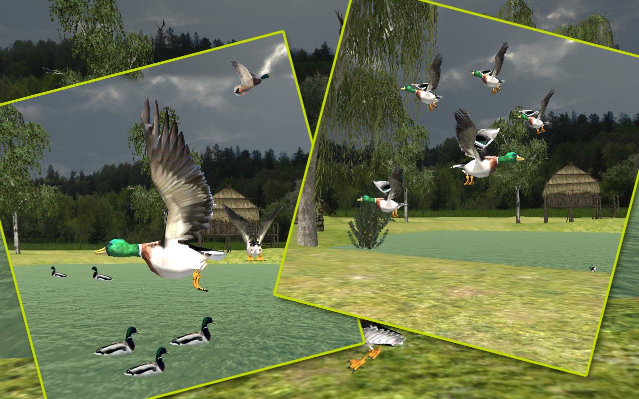 Sniper Duck Hunting