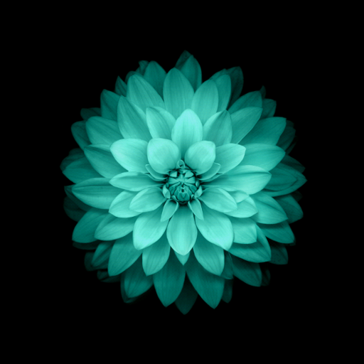 Galaxy Flowers
