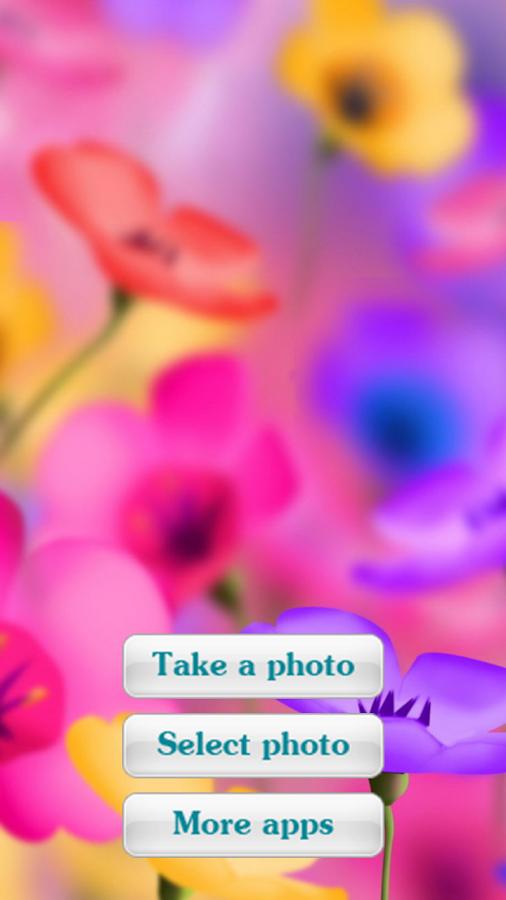 Photo Frames - Flowers 2