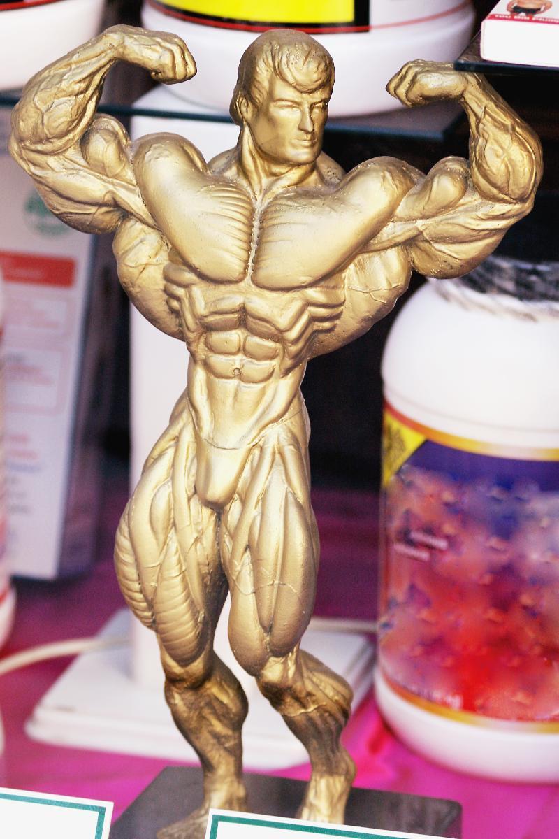 BODY BUILDING SECRETS
