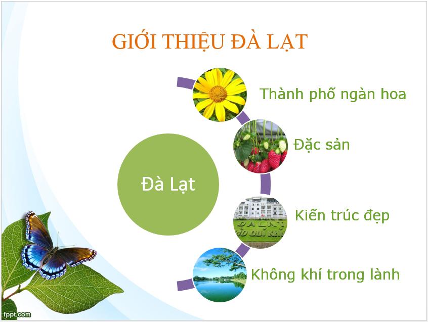 Dalat Travel