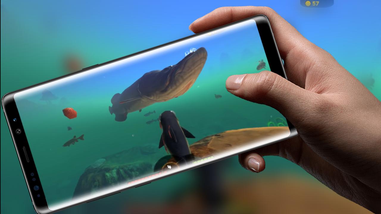 feed the hungry fish and grow sharks