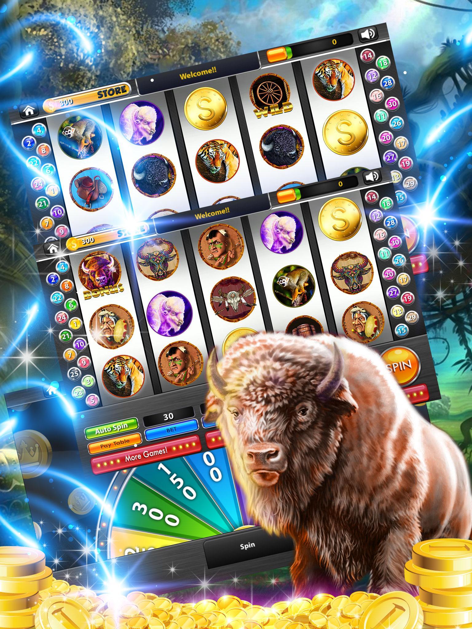 Cherokee Buffalo Casino Slots!