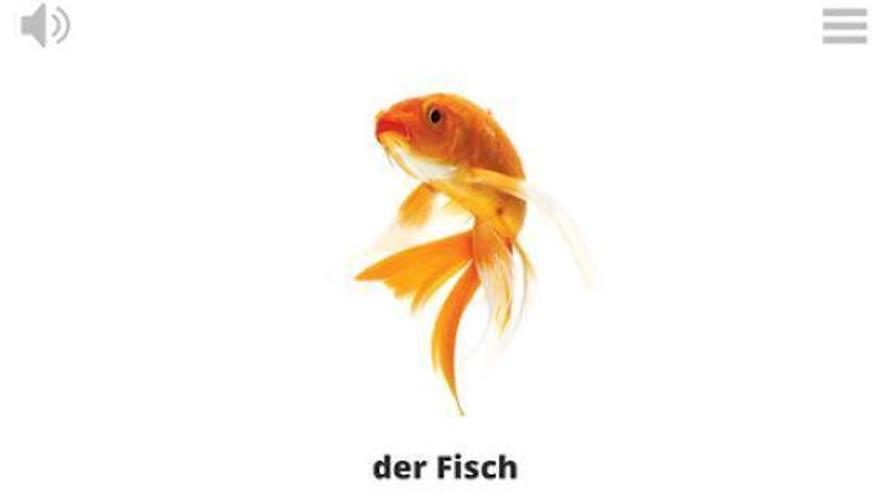 Lyrebird: Learn GERMAN