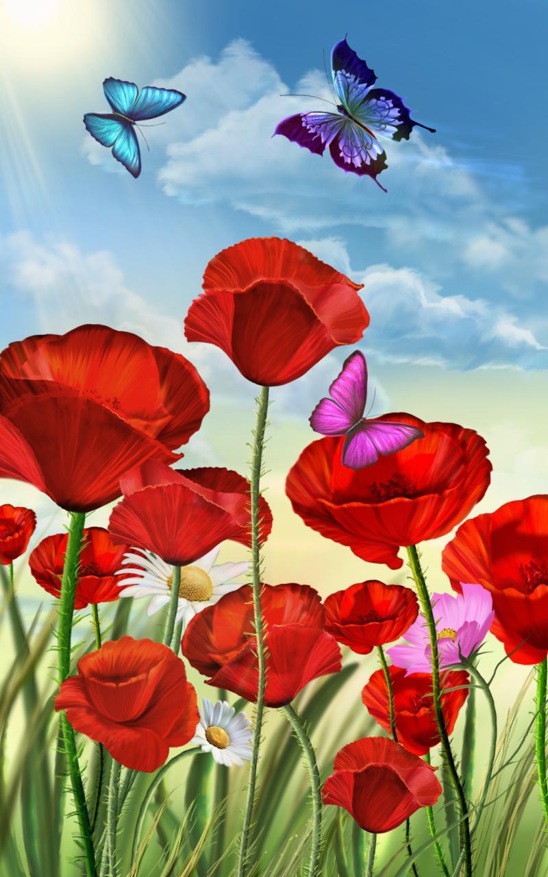 Flowers and Butterflies Summer