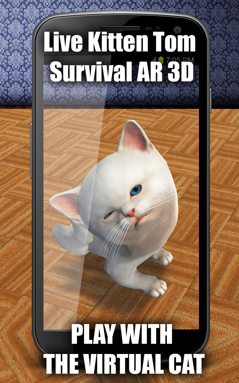 Live Kitten Tom Survival AR 3D